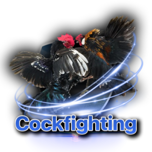 sbobet cocokfighting